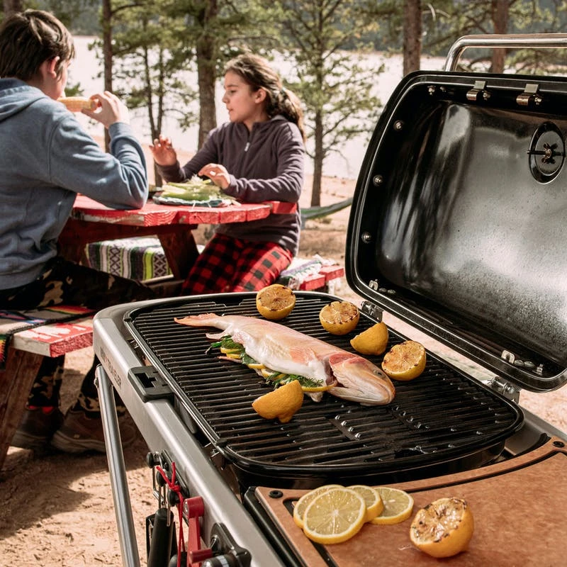 Weber Traveler Portable Gas Grill Weber Traveler Portable Gas Grill -Kitchen Grill Shop Traveler Lifestyle Camping 1 rgb 1800x1800 43493da5 db48 4db7 803d 9ed6682c96a8
