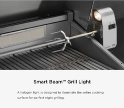 DCS 30"Series 7 Traditional Built-In Gas Grill With Rotisserie -Kitchen Grill Shop dcs rotis light 3