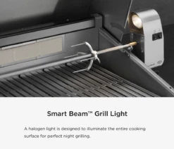 DCS Series 7 Traditional 48-Inch Built-In Gas Grill With Rotisserie -Kitchen Grill Shop dcs48 rotiss 1