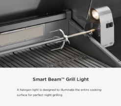 DCS Series 7 Traditional 48-Inch Built-In Gas Grill With Double Side Burner & Rotisserie -Kitchen Grill Shop dcs48r rotiss