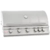 Blaze Premium LTE 40" 5-Burner Built-In Gas Grill With Rear Infrared Burner & Grill Lights